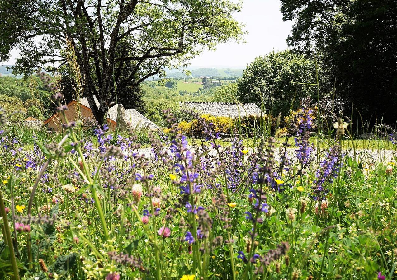 Domaine Des Marequiers Chambre Pimprenelle Saint-Germain-du-Teil Buitenkant foto