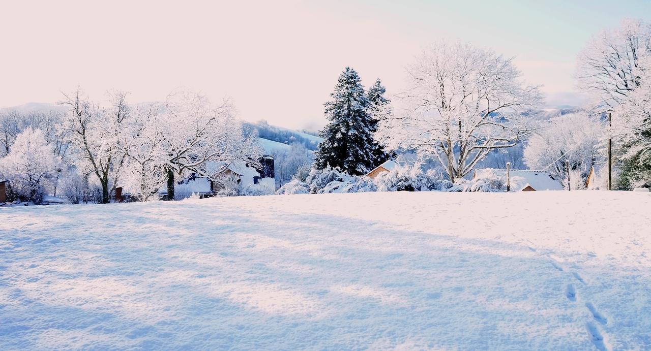 Domaine Des Marequiers Chambre Pimprenelle Saint-Germain-du-Teil Buitenkant foto