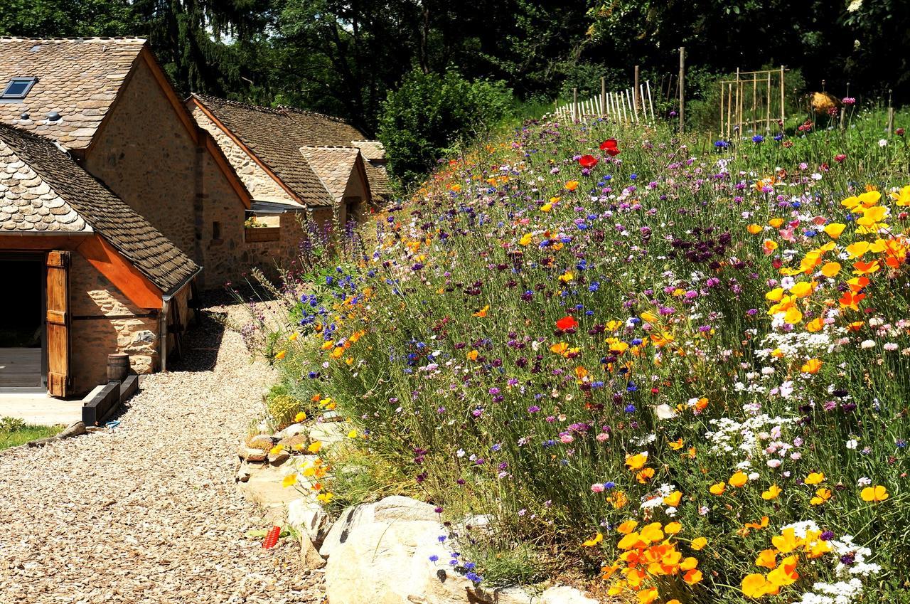 Domaine Des Marequiers Chambre Pimprenelle Saint-Germain-du-Teil Buitenkant foto