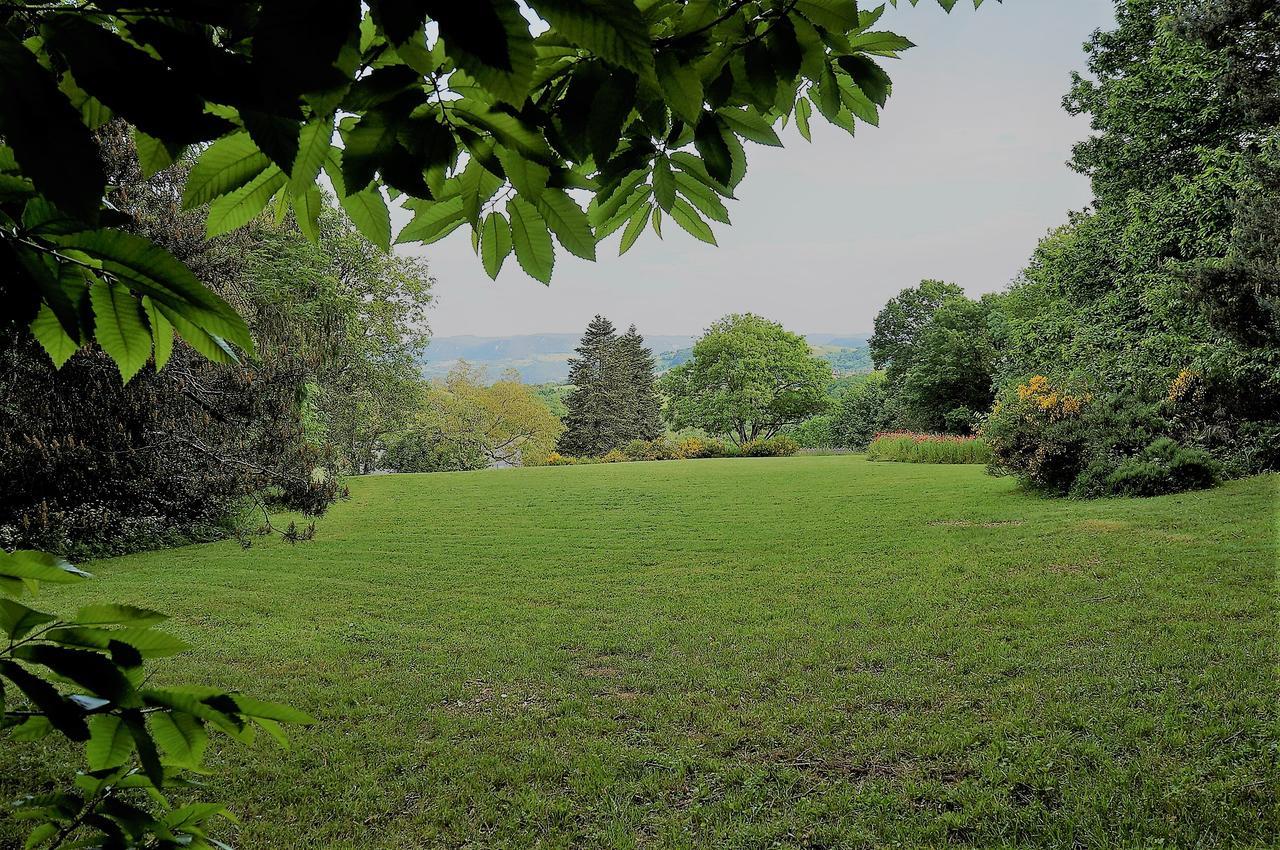 Domaine Des Marequiers Chambre Pimprenelle Saint-Germain-du-Teil Buitenkant foto