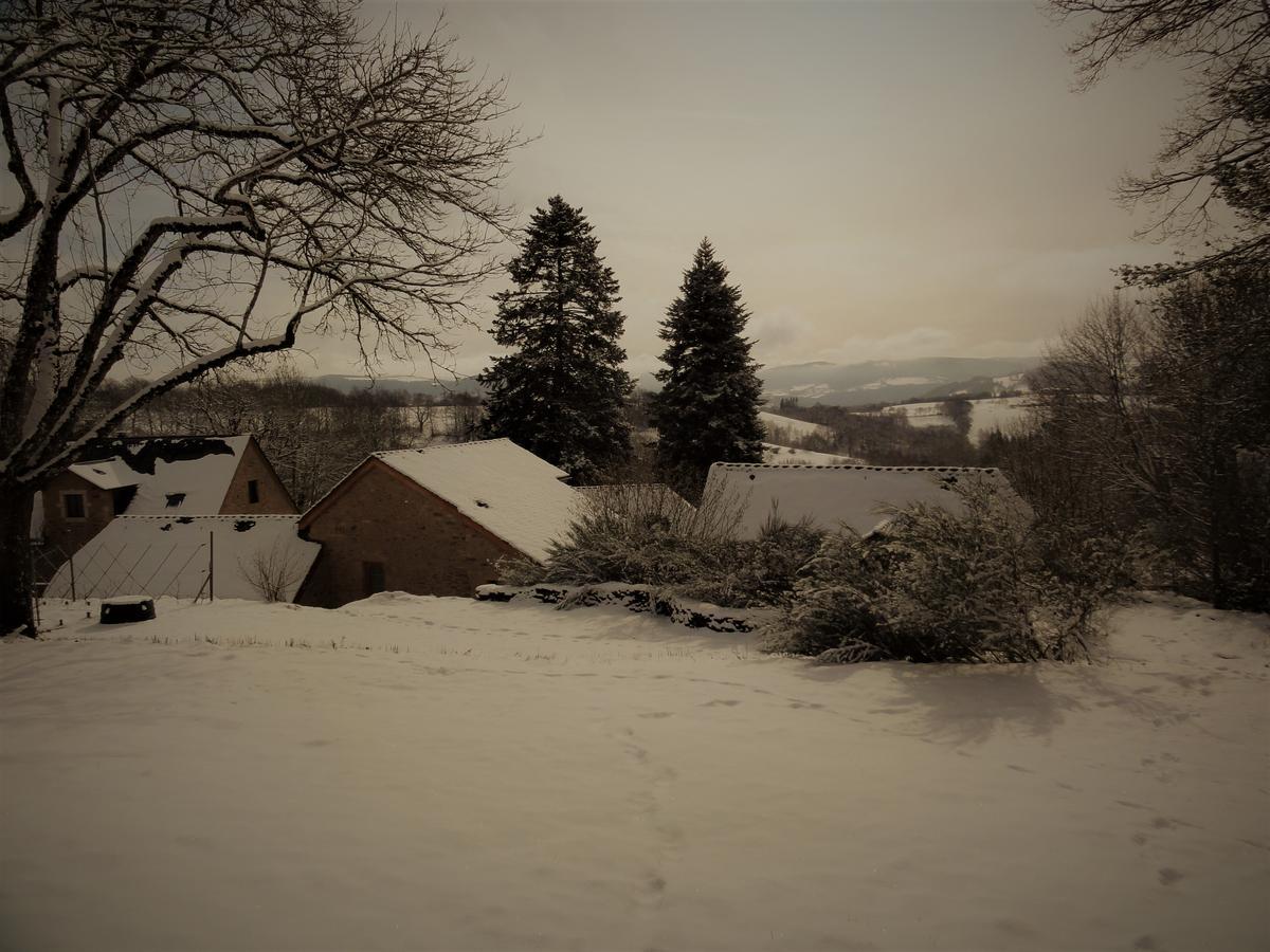 Domaine Des Marequiers Chambre Pimprenelle Saint-Germain-du-Teil Buitenkant foto